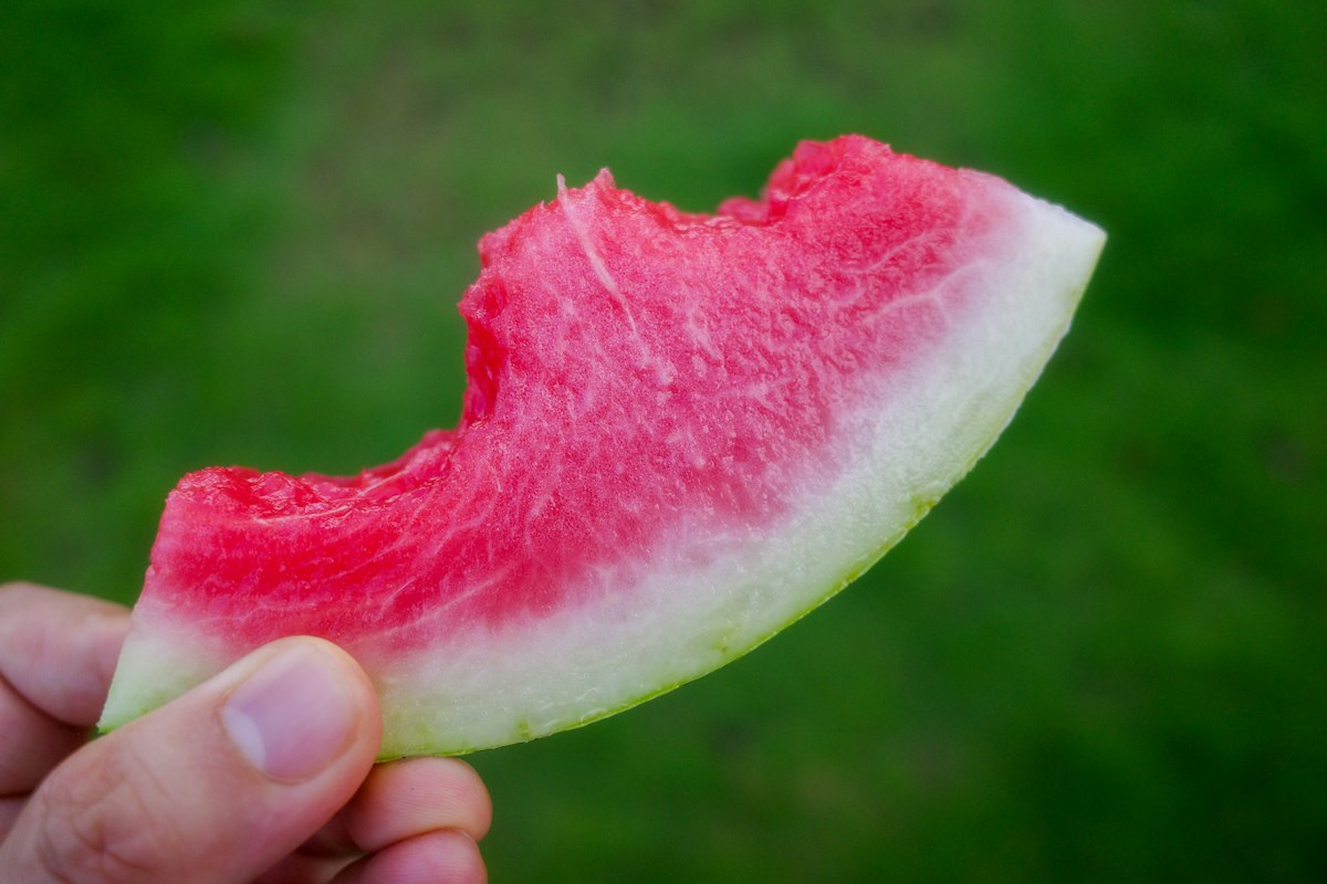 Préparation d'un repas équilibré